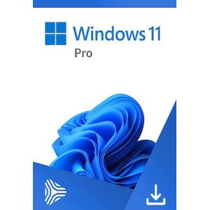Microsoft Windows 11 Pro OEM (PC) - Microsoft Key - GLOBAL