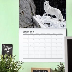 PsPrint 2017 Calendars - Custom Design Full Color Gloss (25 qty)