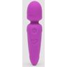 Lovehoney Ignite 20 Function Mini Wand Vibrator