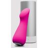 Lovehoney Pleasure Point Rechargeable Silicone Vibrator