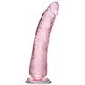 Adam and Eve Adam & Eve Pink Jelly Realistic Dildo