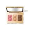 Bobbi Brown Luxe Cheek & Highlighting Palette, Golden Glow