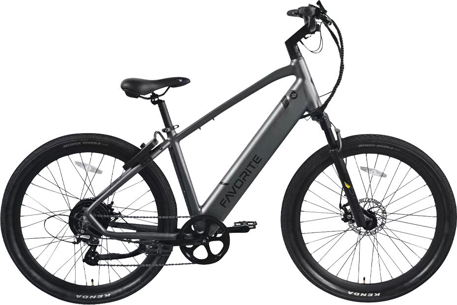 Favorite Hybrid XR E-Bike in Black