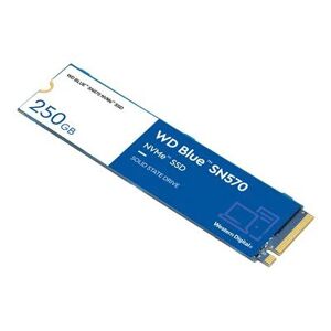 Western Digital WD Blue SN570 NVMe SSD WDS250G3B0C - SSD - 250 GB - PCIe 3.0 x4 (NVMe)
