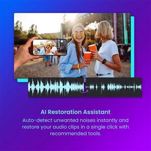 Director Suite 365, 1-Year Subscription