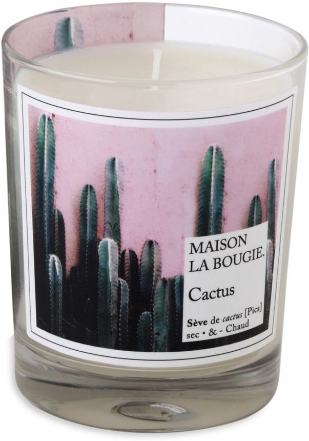 Maison La Bougie Cactus Scented Candle  - female