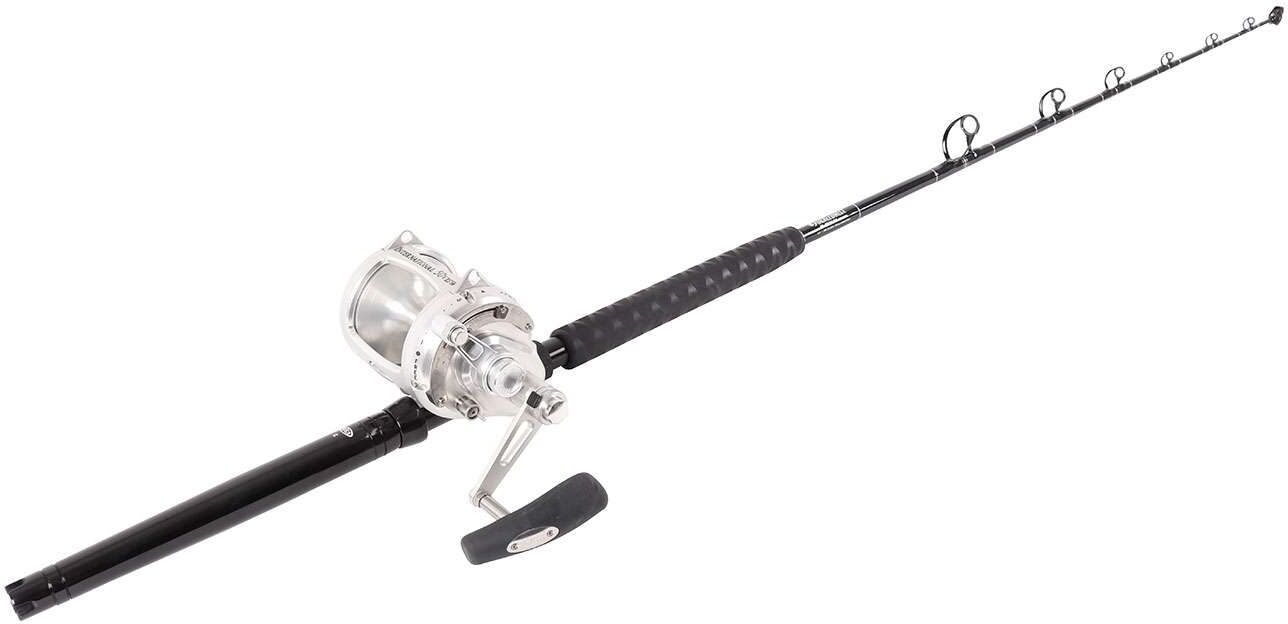 TackleDirect Penn International 50VISWS / TackleDirect Platinum Hook Standup Combo