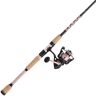 Penn Passion II Spinning Combo - PASII2500701ML