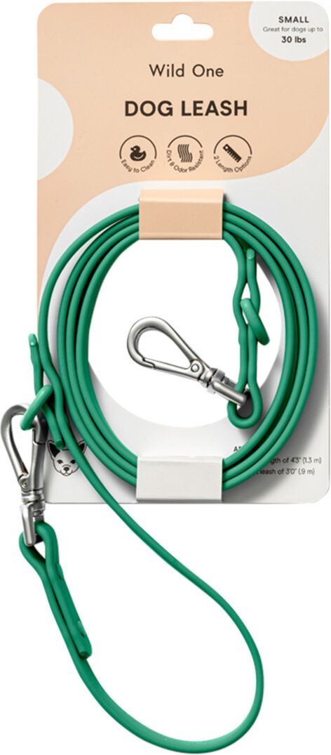 Wild One Small Dog Leash Spruce