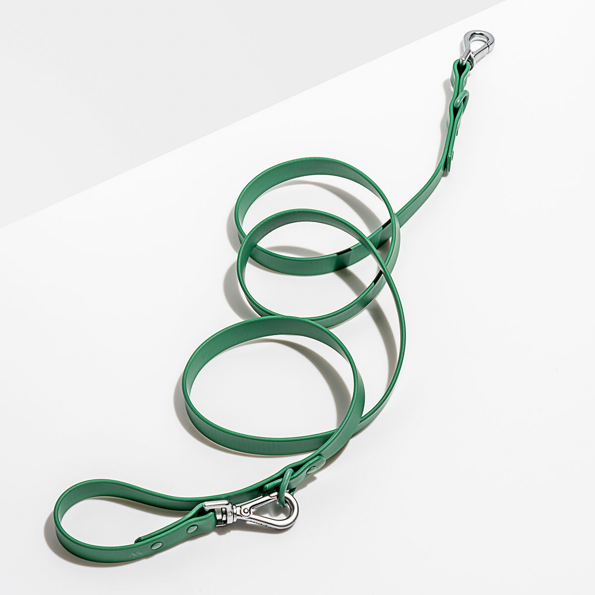 Wild One Standard Dog Leash Spruce