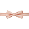 Egara Men's Pre-Tied Formal Bow Tie Apricot - Size: One Size - Apricot - male