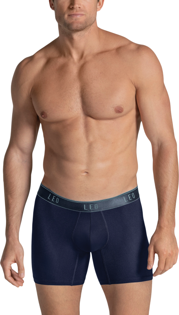 Leo By Leonisa Men's Ultra-Light Briefs Blue - Size: Large - Blue - male