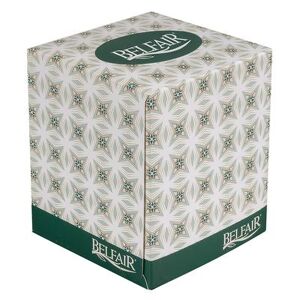 Clean Up "Clean Up FTC7.9X7.72P96 2 ply Cube Box Facial Tissues, 7 9/10"" x 7 7/10"""