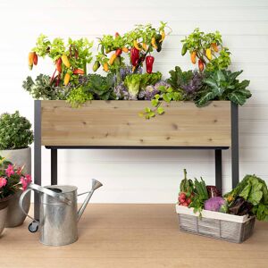 Dobi & Associates, Inc. Self-Watering Elevated Planter - Brown/Spruce