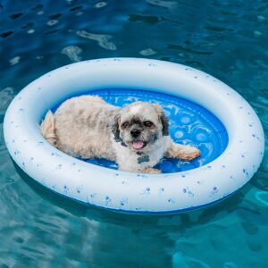 B & D Group Inflatable Pet Float - S