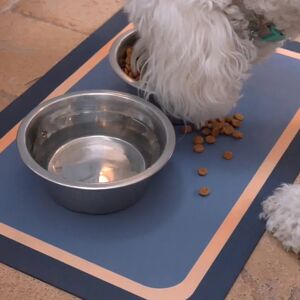 Teleshop Inc. Non-Slip Quick Dry Mat