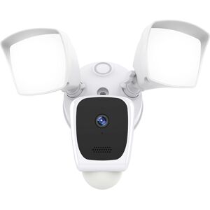 SCTP Inc RSPA and Sungale Smart Wi-Fi Floodlight Security Camera