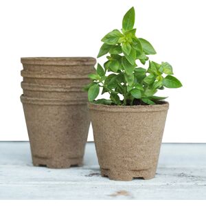 Spade To Fork Organic Home Garden Gift Box Set - Culinary Herbs