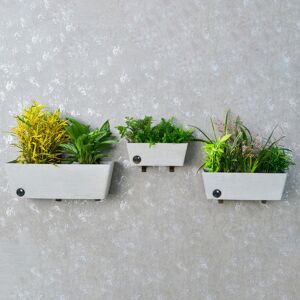Greenship Garden USA, LLC Wall Hanging Self-Watering Pot System for Indoor Plants (Set of 3)