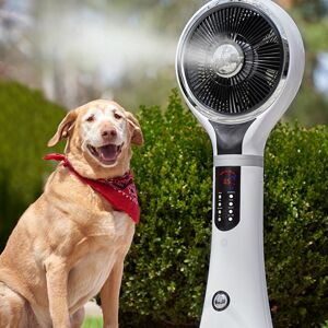 HS - Foshan Mingyi Electrical Appliance Co., Ltd. Portable Evaporative Cooler by Sharper Image