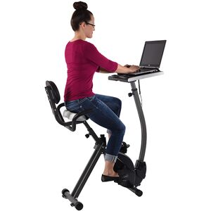 Stamina Products, Inc. Exercise Bike Workstation
