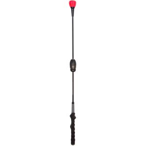 Golf Gifts and Gallery Power Stick Swing Trainer