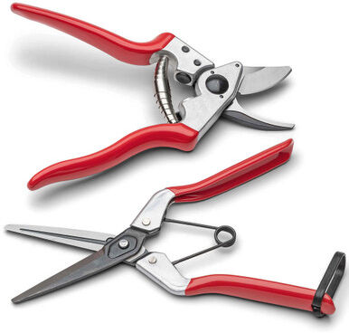 Garrett Wade Fruit Scissor And Pruner