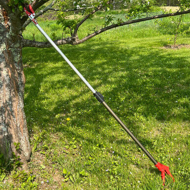 Garrett Wade Long Reach Pruner (Extends to 5 Feet)