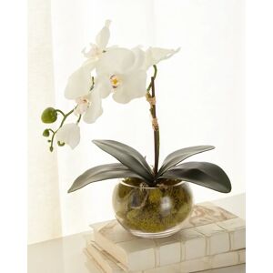 John-Richard Collection Petite Orchid Phalaenopsis - Size: unisex