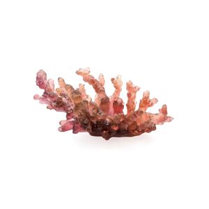 Daum Coral Sea Medium Bowl, Amber/Red