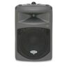 Samson dB300i Passive Loudspeaker (70/100 Volt)