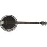 Epiphone Stagebird 6-String Electric Banjo