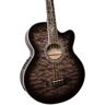 Michael Kelly Dragonfly 4 Acoustic-Electric Bass