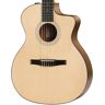 Taylor 114ce-N Grand Auditorium Nylon-String Acoustic-Electric Guitar (Demo)