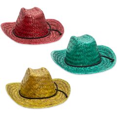 Colorful Straw Cowboy Hats by Windy City Novelties