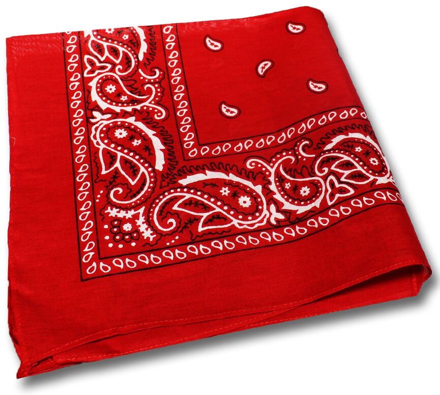 Red Cotton Bandanas by Windy City Novelties