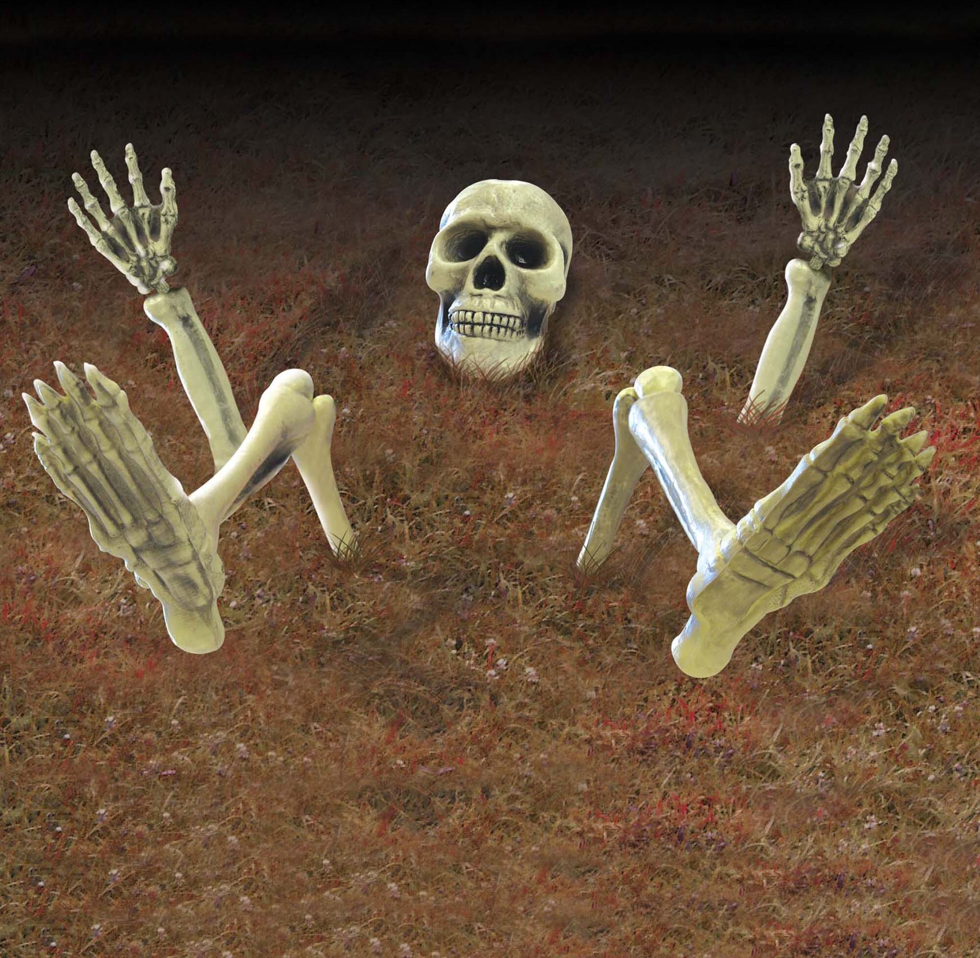 Skeleton Yard Groundbreaker by Windy City Novelties