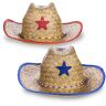 Kids' Cowboy Hats by Windy City Novelties