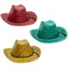 Colorful Straw Cowboy Hats by Windy City Novelties