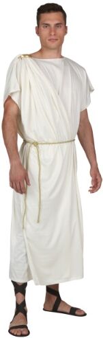 Plus Size Toga Costume for Men