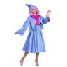 Disney Cinderella Fairy Godmother Women's Costume