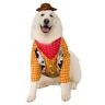Toy Story Woody Plus Size Dog Costume