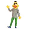 Sesame Street Adult Bert Costume