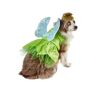 Peter Pan Tinker Bell Dog Costume