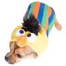 Sesame Street Bert Pet Costume