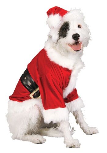 Santa Costume for Pets