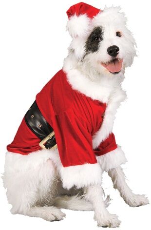 Santa Costume for Pets