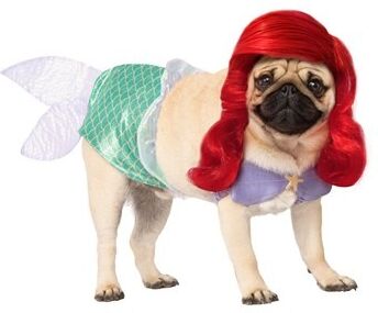 Pet Costume Ariel