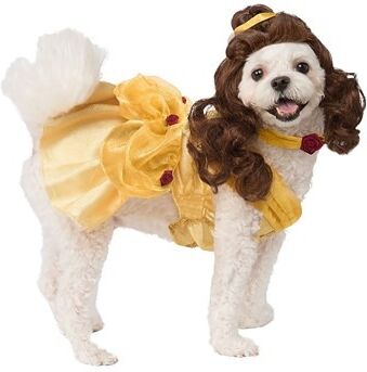 Beauty and the Beast Belle Dog Costume