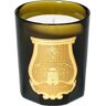 CIRE TRVDON scented candle "holy spirit" -  - Green - female - Size: One Size